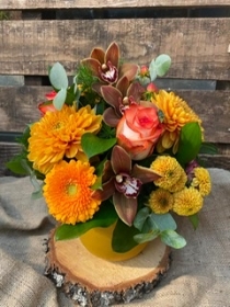 Hatboxes and Arrangements