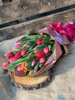 Everything’s coming up tulips