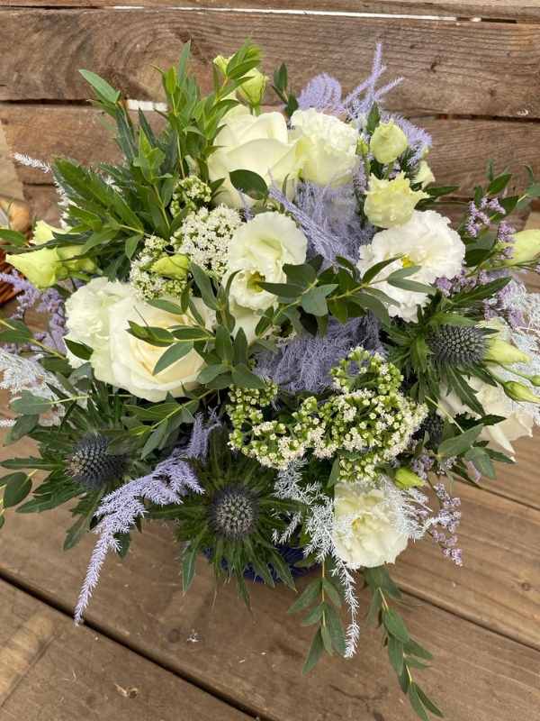 Sky Blues Arrangement